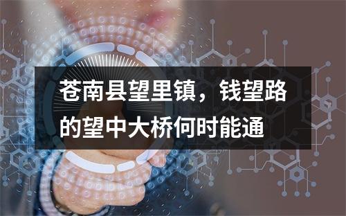 苍南县望里镇，钱望路的望中大桥何时能通