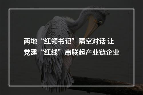 两地“红领书记”隔空对话 让党建“红线”串联起产业链企业