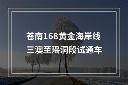 苍南168黄金海岸线三澳至瑶洞段试通车