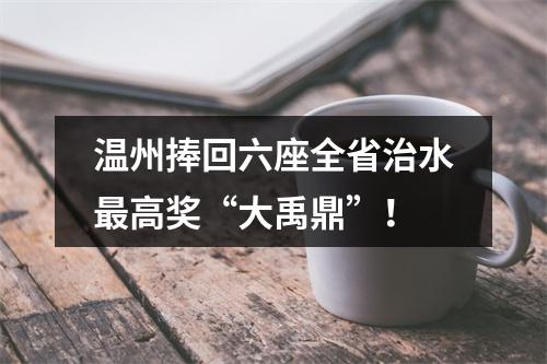 温州捧回六座全省治水最高奖“大禹鼎”！