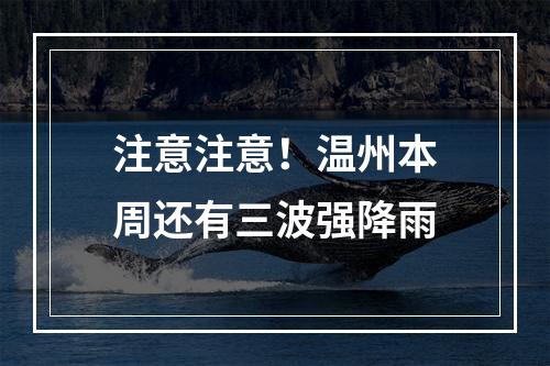 注意注意！温州本周还有三波强降雨
