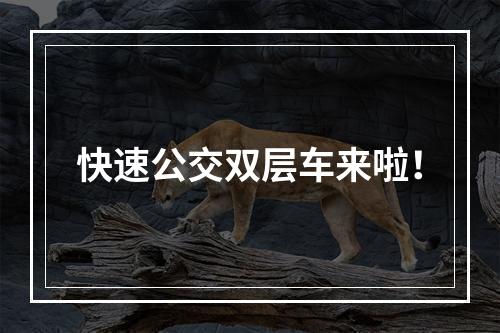 快速公交双层车来啦！