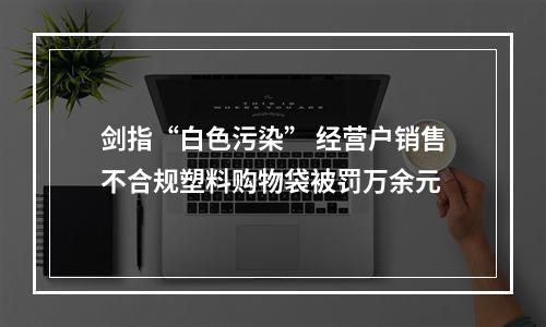 剑指“白色污染” 经营户销售不合规塑料购物袋被罚万余元