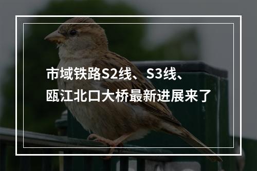 市域铁路S2线、S3线、瓯江北口大桥最新进展来了