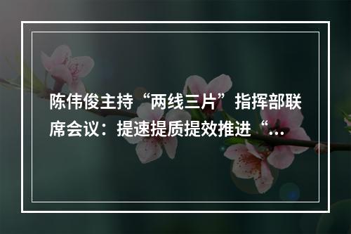 陈伟俊主持“两线三片”指挥部联席会议：提速提质提效推进“精建精美”