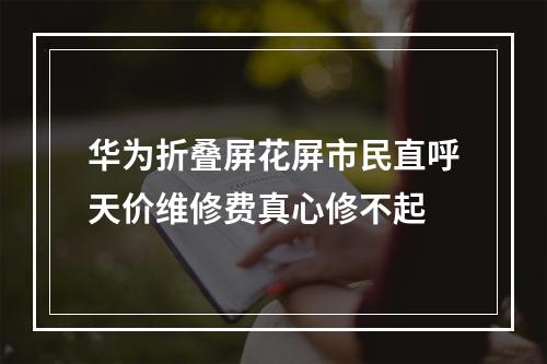 华为折叠屏花屏市民直呼天价维修费真心修不起