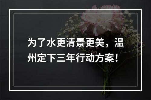 为了水更清景更美，温州定下三年行动方案！