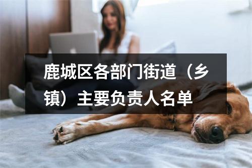 鹿城区各部门街道（乡镇）主要负责人名单