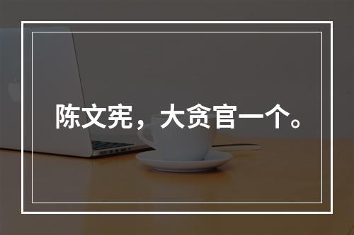 陈文宪，大贪官一个。
