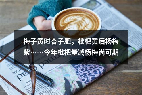 梅子黄时杏子肥，枇杷黄后杨梅紫……今年枇杷量减杨梅尚可期