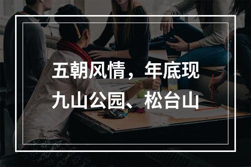 五朝风情，年底现九山公园、松台山