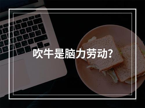 吹牛是脑力劳动？