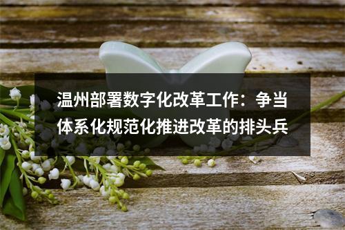 温州部署数字化改革工作：争当体系化规范化推进改革的排头兵