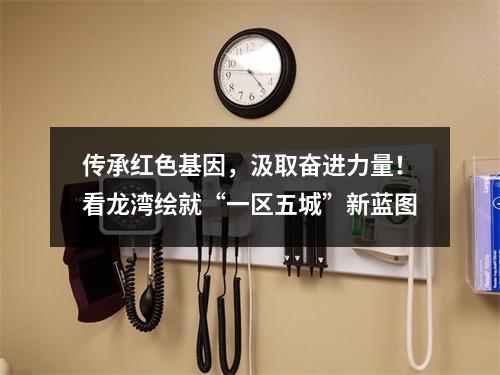 传承红色基因，汲取奋进力量！看龙湾绘就“一区五城”新蓝图