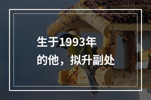 生于1993年的他，拟升副处