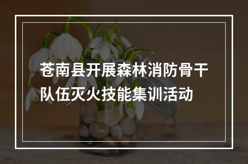 苍南县开展森林消防骨干队伍灭火技能集训活动