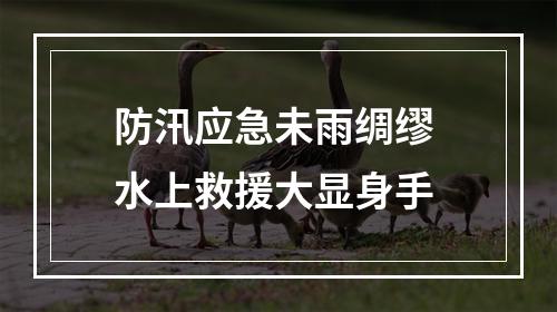 防汛应急未雨绸缪 水上救援大显身手