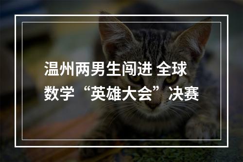 温州两男生闯进 全球数学“英雄大会”决赛