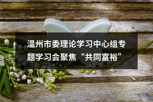 温州市委理论学习中心组专题学习会聚焦“共同富裕”