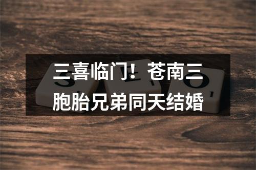 三喜临门！苍南三胞胎兄弟同天结婚