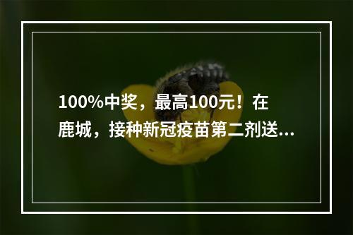 100%中奖，最高100元！在鹿城，接种新冠疫苗第二剂送话费！