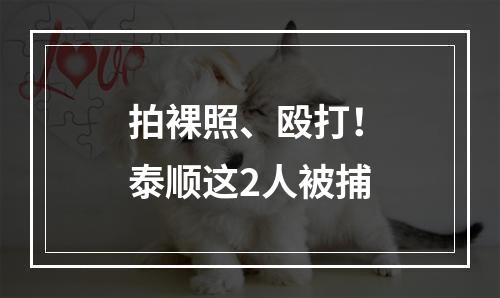 拍裸照、殴打！泰顺这2人被捕