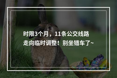 时限3个月，11条公交线路走向临时调整！别坐错车了~