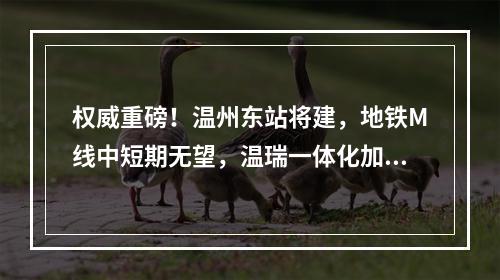 权威重磅！温州东站将建，地铁M线中短期无望，温瑞一体化加速！国家最新规 ...