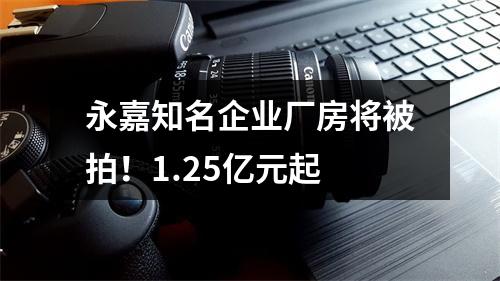 永嘉知名企业厂房将被拍！1.25亿元起