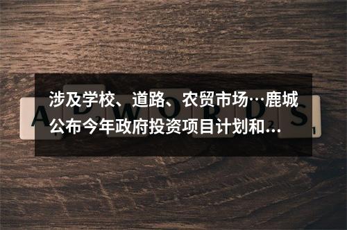 涉及学校、道路、农贸市场…鹿城公布今年政府投资项目计划和前期计划