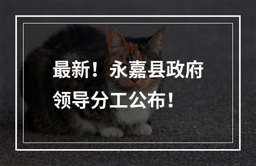最新！永嘉县政府领导分工公布！