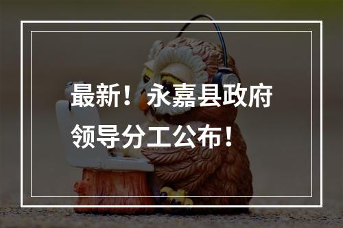 最新！永嘉县政府领导分工公布！