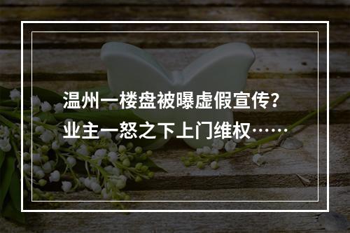 温州一楼盘被曝虚假宣传？业主一怒之下上门维权……