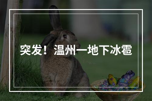 突发！温州一地下冰雹