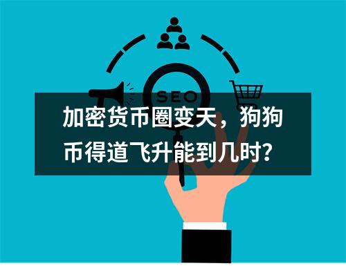 加密货币圈变天，狗狗币得道飞升能到几时？