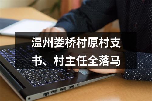 温州娄桥村原村支书、村主任全落马
