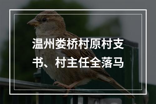 温州娄桥村原村支书、村主任全落马