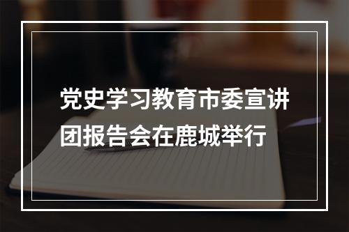 党史学习教育市委宣讲团报告会在鹿城举行