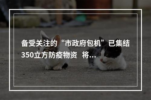 备受关注的“市政府包机”已集结350立方防疫物资   将于13日飞往温州
