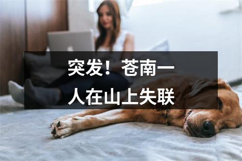 突发！苍南一人在山上失联