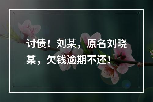 讨债！刘某，原名刘晓某，欠钱逾期不还！