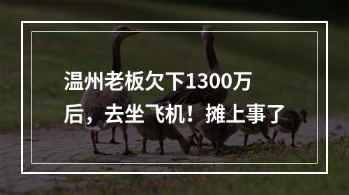 温州老板欠下1300万后，去坐飞机！摊上事了