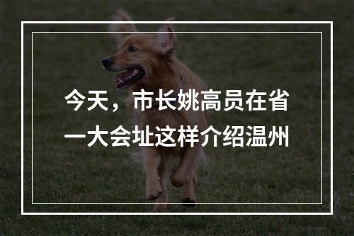 今天，市长姚高员在省一大会址这样介绍温州