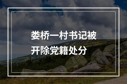 娄桥一村书记被开除党籍处分
