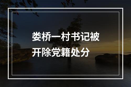 娄桥一村书记被开除党籍处分