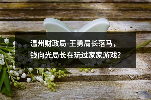 温州财政局-王勇局长落马，钱向光局长在玩过家家游戏？