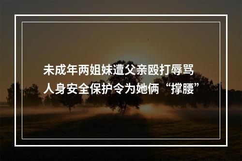 未成年两姐妹遭父亲殴打辱骂 人身安全保护令为她俩“撑腰”
