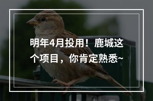 明年4月投用！鹿城这个项目，你肯定熟悉~