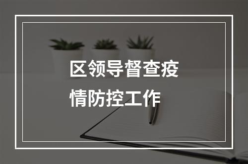 区领导督查疫情防控工作