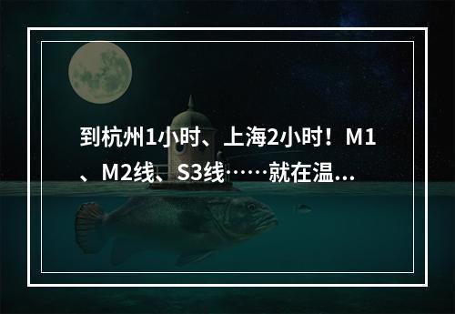 到杭州1小时、上海2小时！M1、M2线、S3线……就在温州这5年！